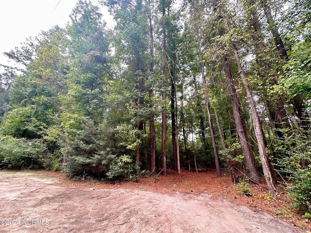 Photo of 635 Sea Hawk Drive SW, Sunset Beach, NC 28468 (MLS # 100465982)