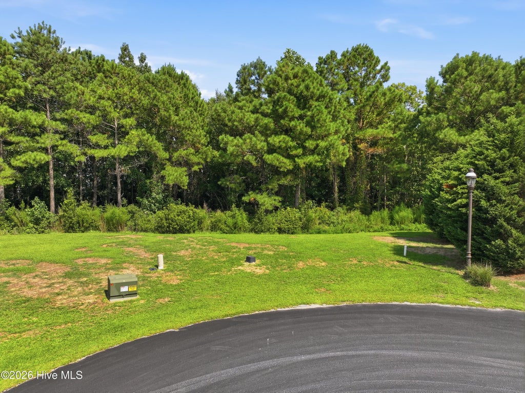 Photo of 415 Wisteria Lane, Holly Ridge, NC 28445 (MLS # 100601664)