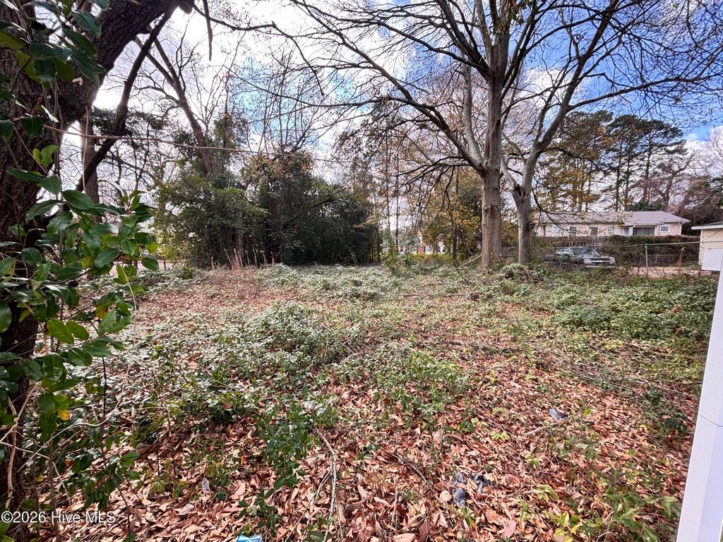 Photo of 116 S Chestnut Street, Clinton, NC 28328 (MLS # 100547478)