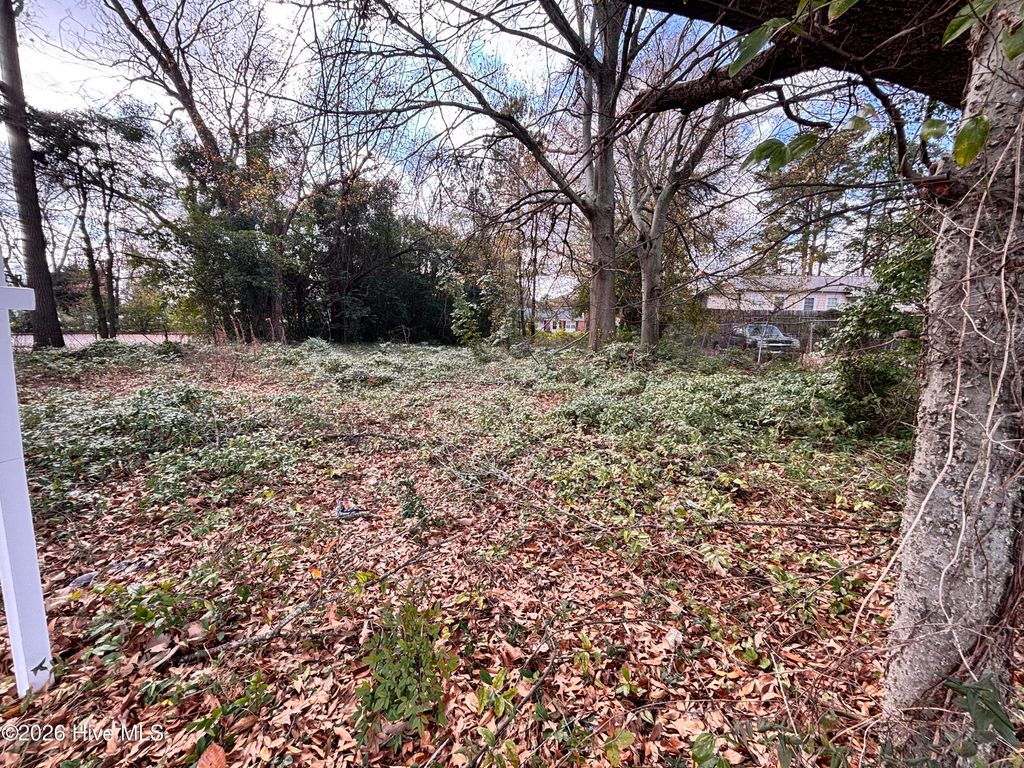 Photo of 116 S Chestnut Street, Clinton, NC 28328 (MLS # 100547478)