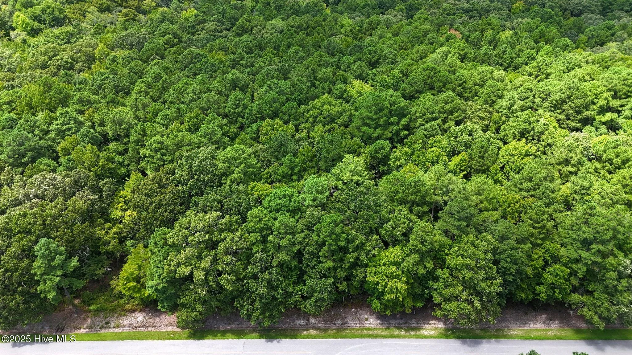 Tbd Boat Ramp Road, New Hope, NC, 27944