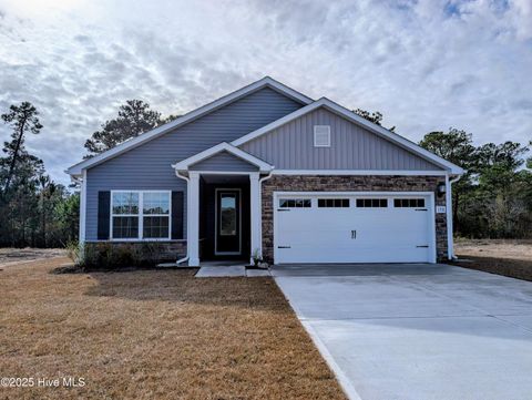 Photo of 178 S Umbrella Palm Drive, Hampstead, NC 28443 (MLS # 100547007)