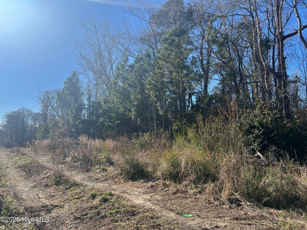 Photo of 383 Ocean Highway E, Supply, NC 28462 (MLS # 100482604)