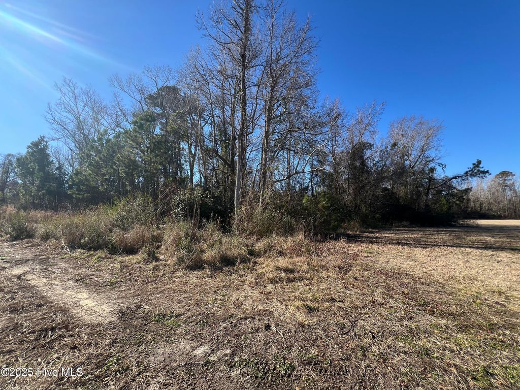 Photo of 383 Ocean Highway E, Supply, NC 28462 (MLS # 100482604)