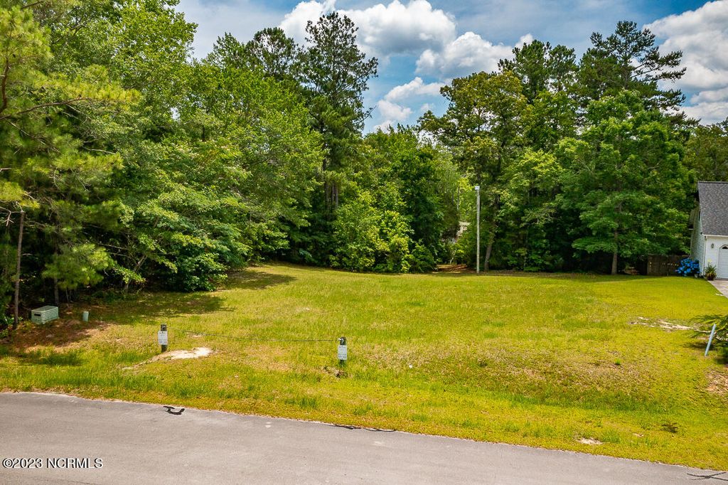 Photo of 327 Farina Drive, Havelock, NC 28532 (MLS # 100390722)