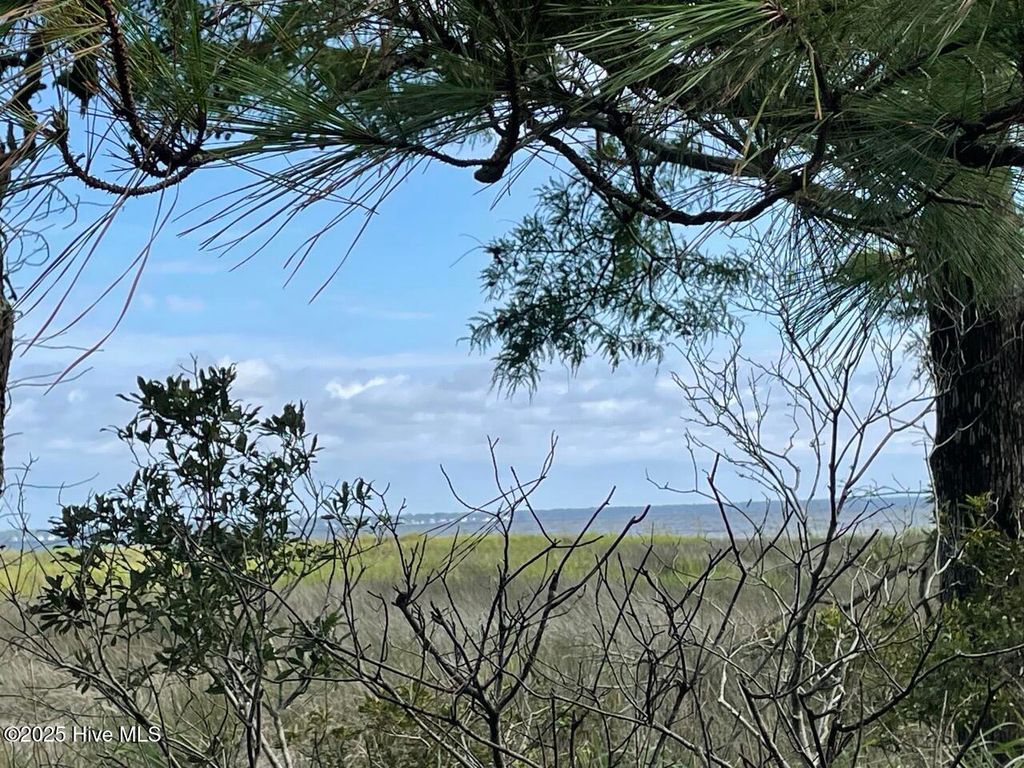 Photo of 237 Garbacon Drive, Beaufort, NC 28516 (MLS # 100524238)