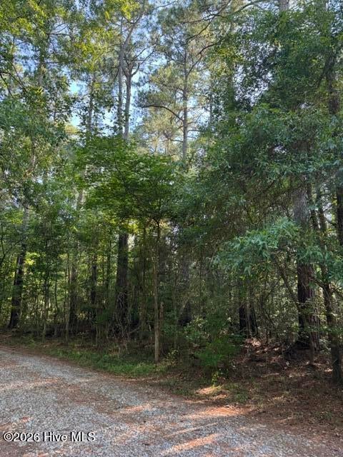 Tiny photo for 0 E Wilmington Street, Burgaw, NC 28425 (MLS # 100592785)