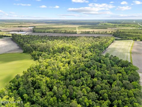 Tiny photo for 0000 Deppe Road, Maysville, NC 28555 (MLS # 100575999)