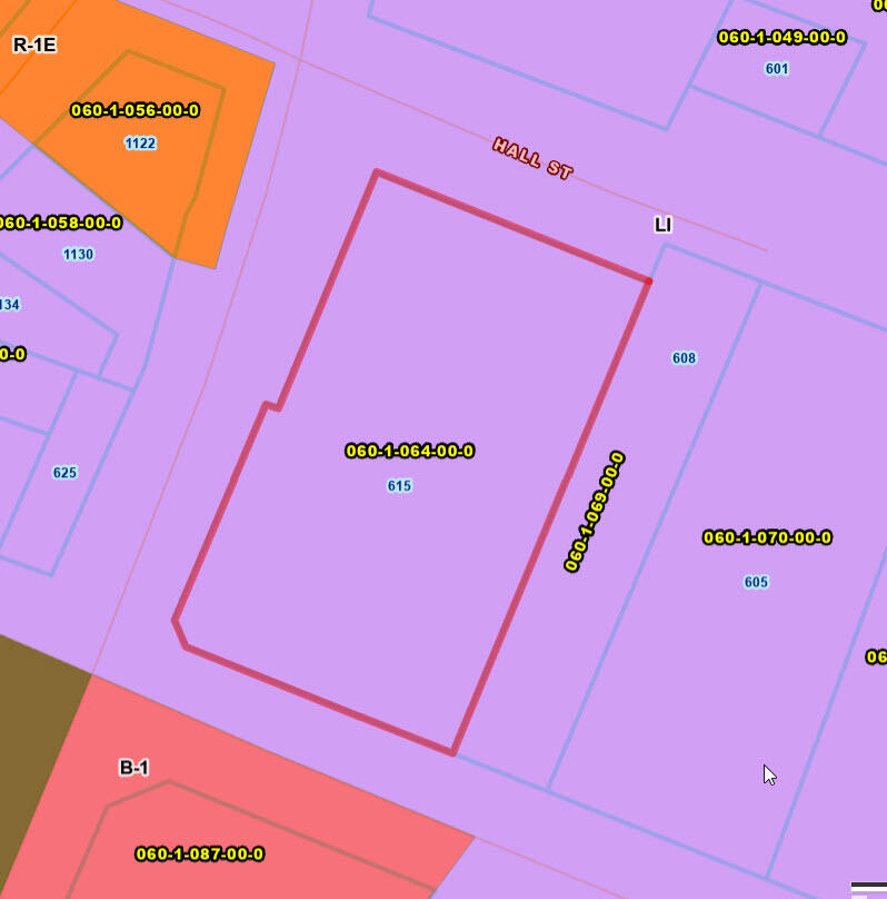 615 LANEY WALKER Boulevard