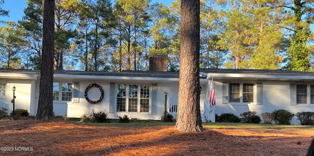 Photo of 110 Branch Road, Southern Pines, NC 28387 (MLS # 100540275)