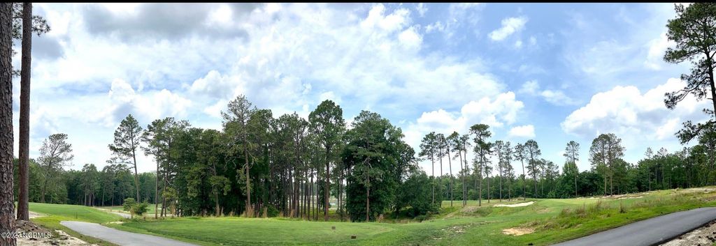 Photo of 110 Branch Road, Southern Pines, NC 28387 (MLS # 100540275)