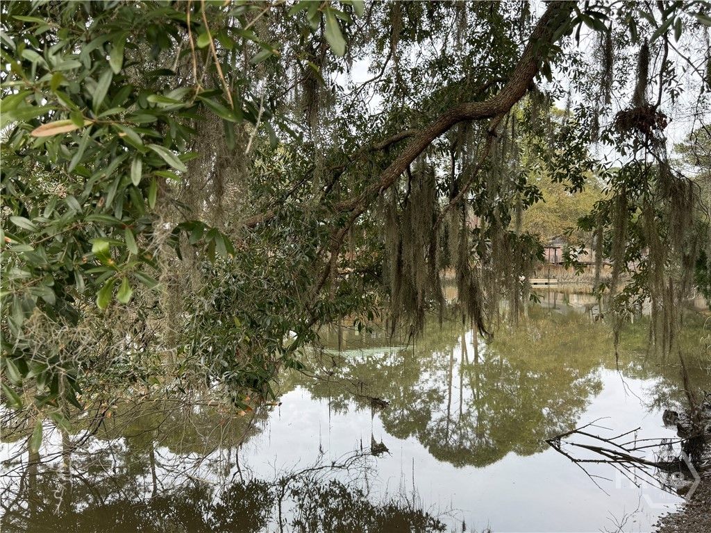 Photo of 364 Island Road, Savannah, GA 31406 (MLS # SA346461)