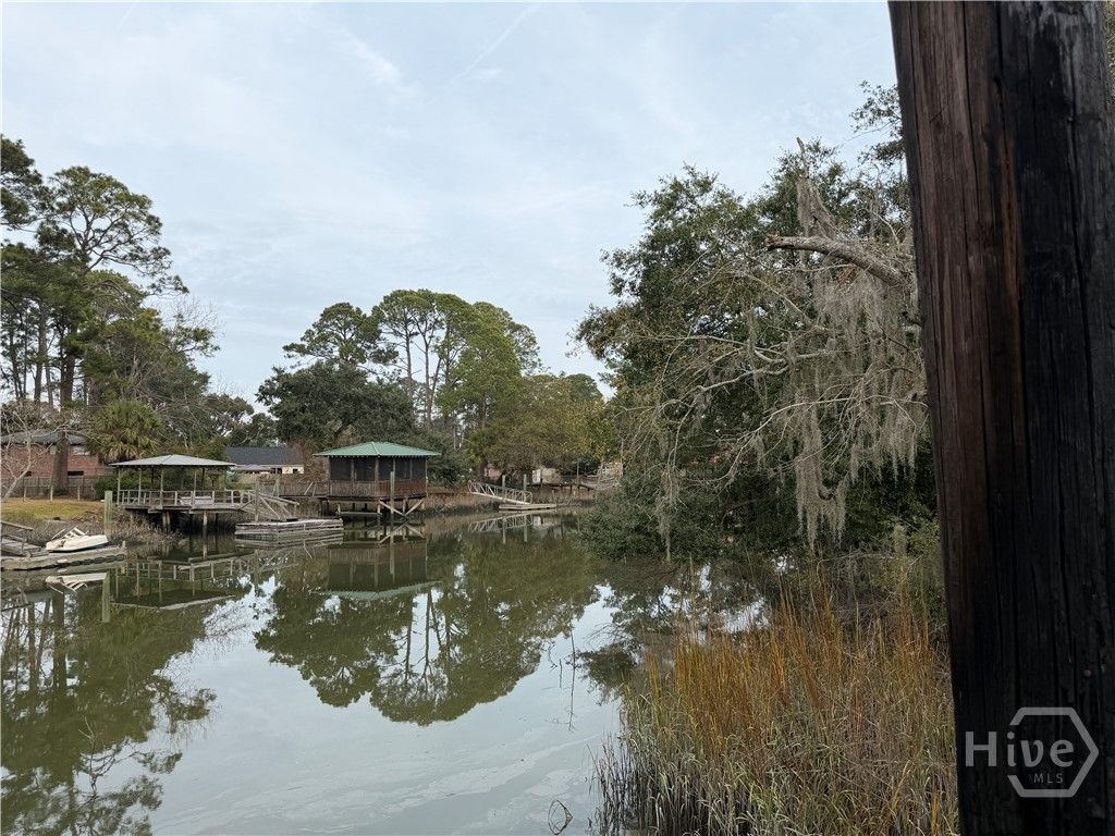 Photo of 364 Island Road, Savannah, GA 31406 (MLS # SA346461)