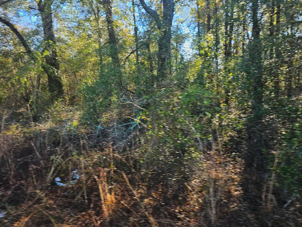 Photo of 1 River Road, Waynesboro, GA 30830 (MLS # 552645)