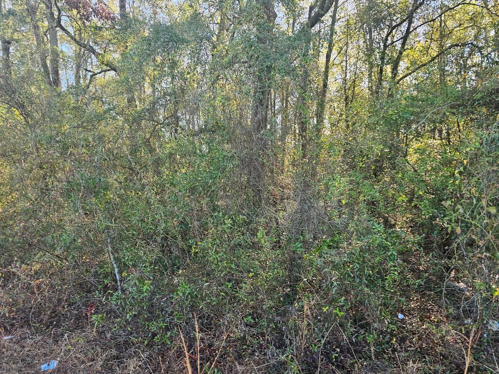 Photo of 1 River Road, Waynesboro, GA 30830 (MLS # 552645)