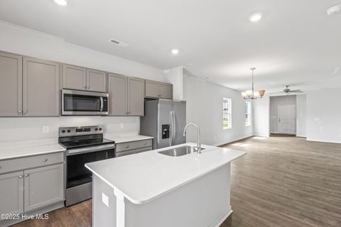 Tiny photo for 628 S Squires Run Lane, Richlands, NC 28574 (MLS # 100546413)