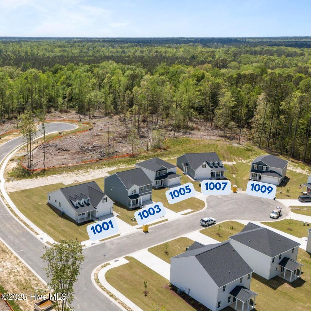 Photo of 1003 Tawney Trace, New Bern, NC 28562 (MLS # 100503190)