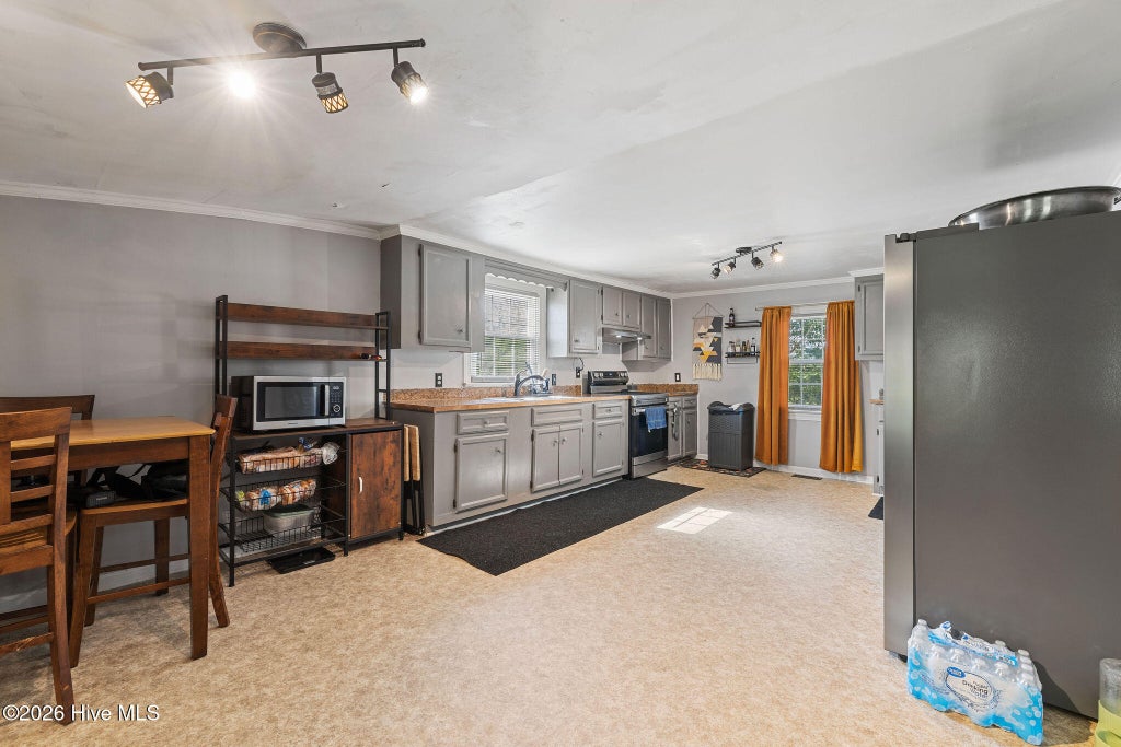 Photo of 3795 Rouse Loop Road, La Grange, NC 28551 (MLS # 100601979)