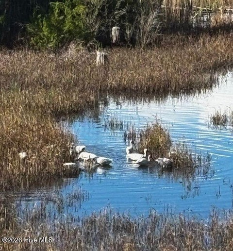 Tiny photo for 221 River Gate Lane, Wilmington, NC 28412 (MLS # 100605736)
