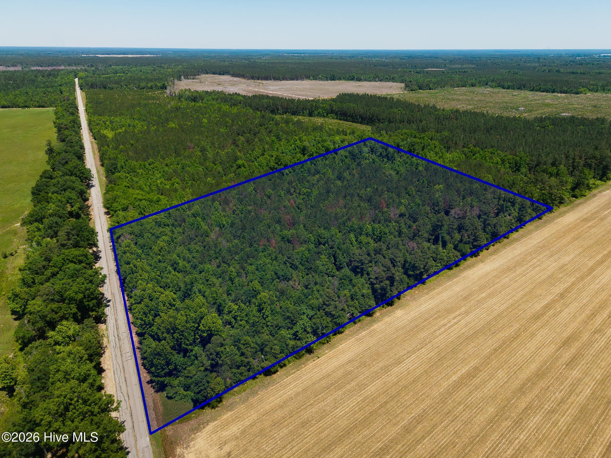 18.5 Acres Georgia 305 Highway