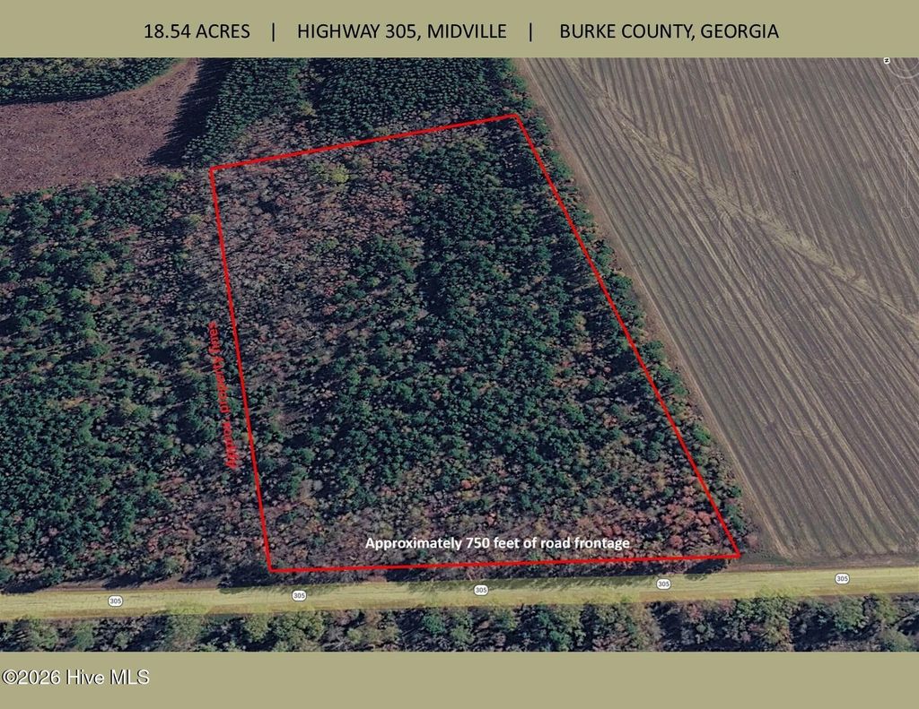 Photo of 00 Georgia 305 AVE, Midville, GA 30441 (MLS # 100574814)