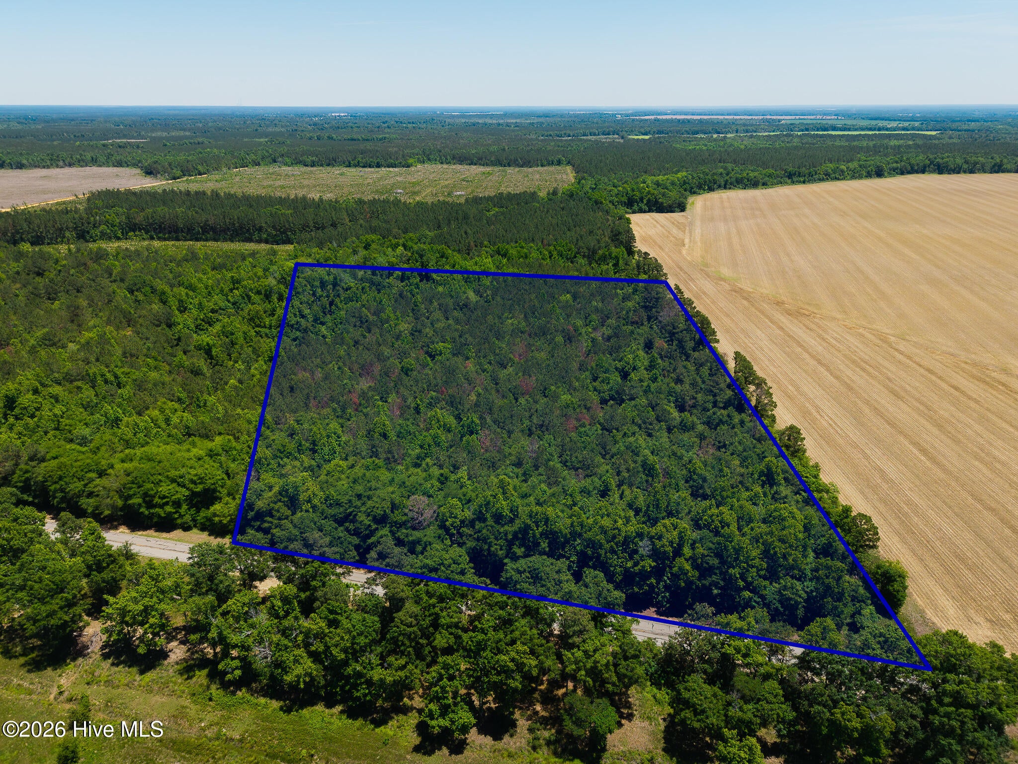 18.5 Acres Georgia 305 Highway