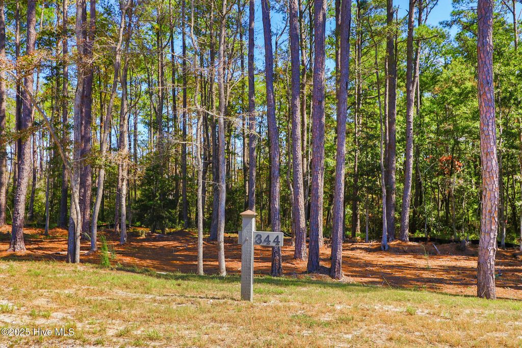 Photo of 514 Freedom Park Road, Beaufort, NC 28516 (MLS # 100536254)