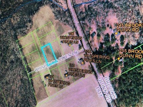 Vacant Land For Sale - 13 Whispering Pines Lane<br/> Magnolia, NC 28453