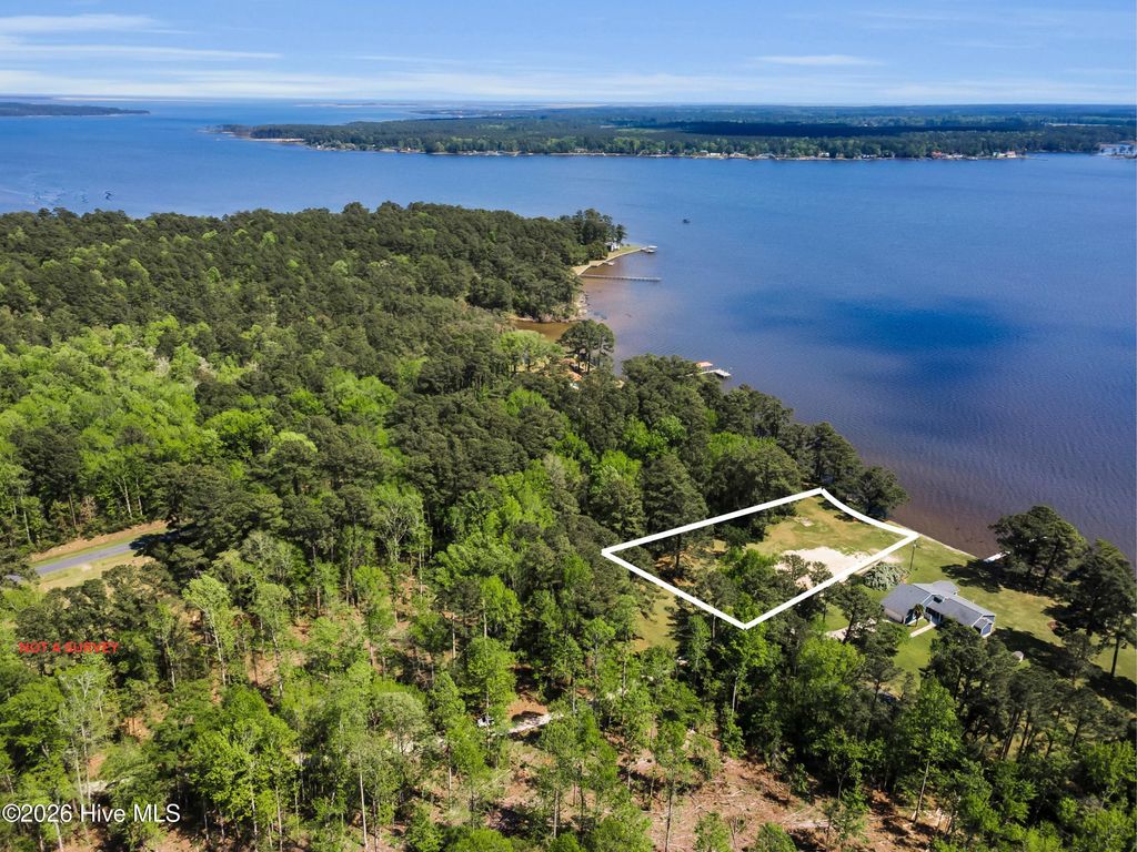 Photo of 310 Myrtlewood Lane, Bayboro, NC 28515 (MLS # 100567902)