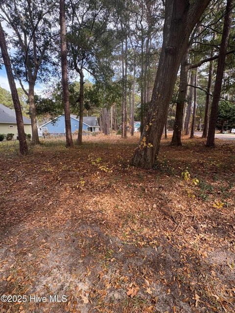 Tiny photo for 554 Captains Court SE, Bolivia, NC 28422 (MLS # 100575825)