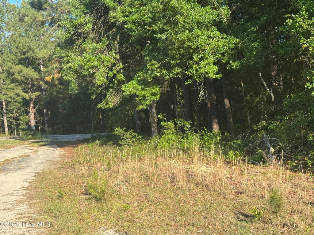 Photo of 114 Green Cedar Drive, Hamlet, NC 28345 (MLS # 100575502)