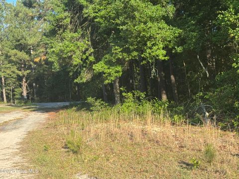 Vacant Land For Sale - 114 Green Cedar Drive<br/> Hamlet, NC 28345