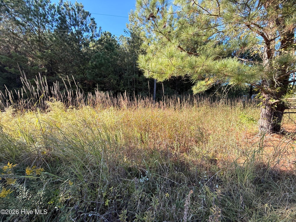 Photo of 3840 Ellis Drive, Farmville, NC 27828 (MLS # 100611831)