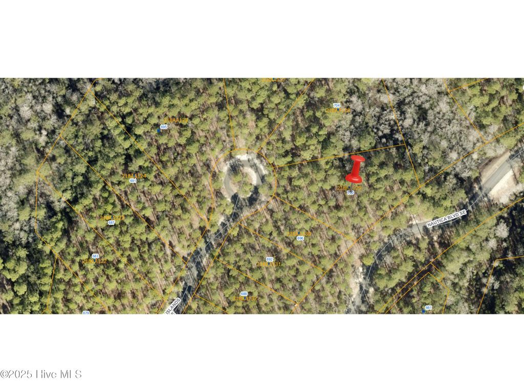 Photo of 700 Madeira Islands Drive SE, Bolivia, NC 28422 (MLS # 100521476)