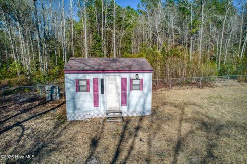 Tiny photo for 876 Mcclammy Road, Hampstead, NC 28443 (MLS # 100557580)