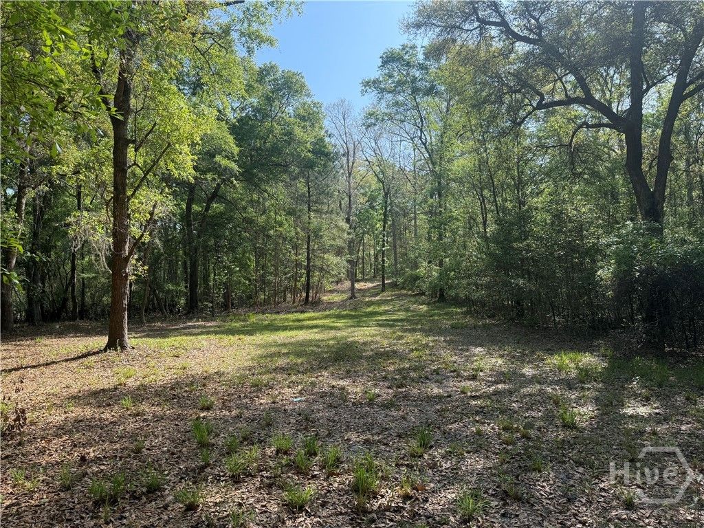 Photo of 315 High Bluff Road, Rincon, GA 31326 (MLS # SA352642)