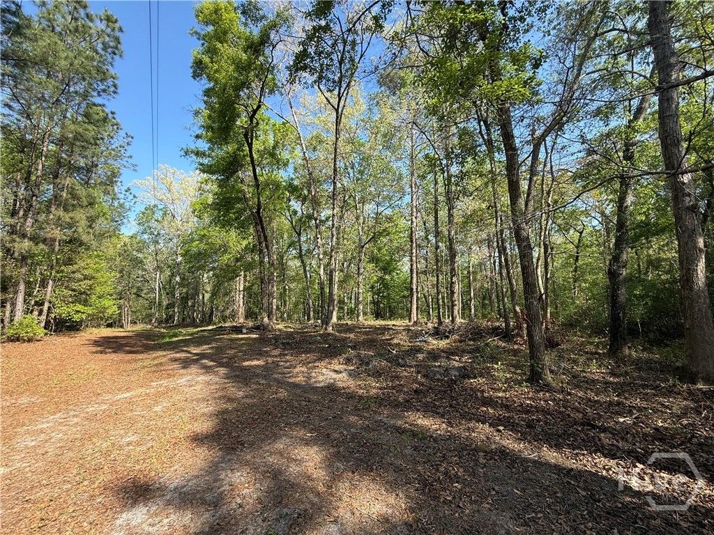 Photo of 315 High Bluff Road, Rincon, GA 31326 (MLS # SA352642)