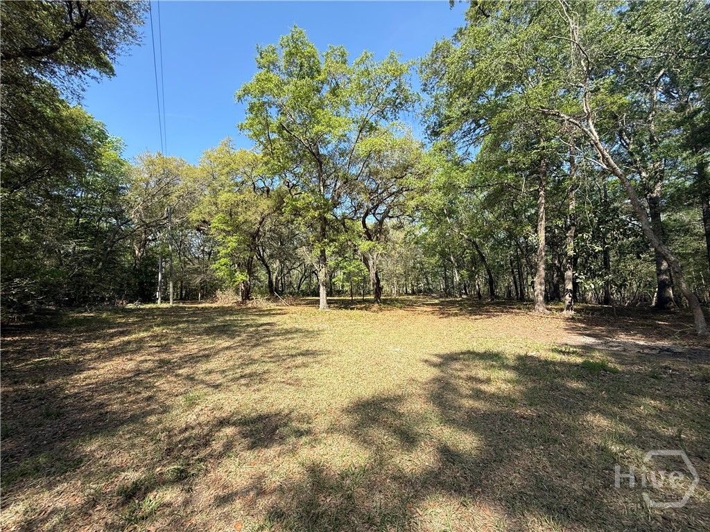 Photo of 315 High Bluff Road, Rincon, GA 31326 (MLS # SA352642)