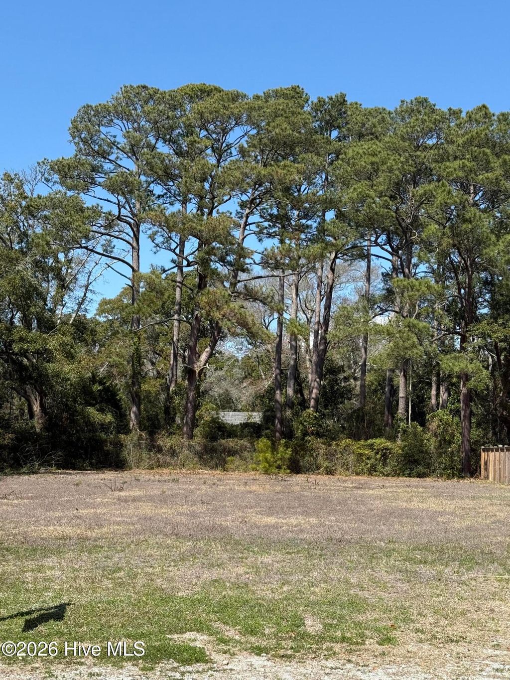 Photo of 211 E Leonard Street, Southport, NC 28461 (MLS # 100558636)