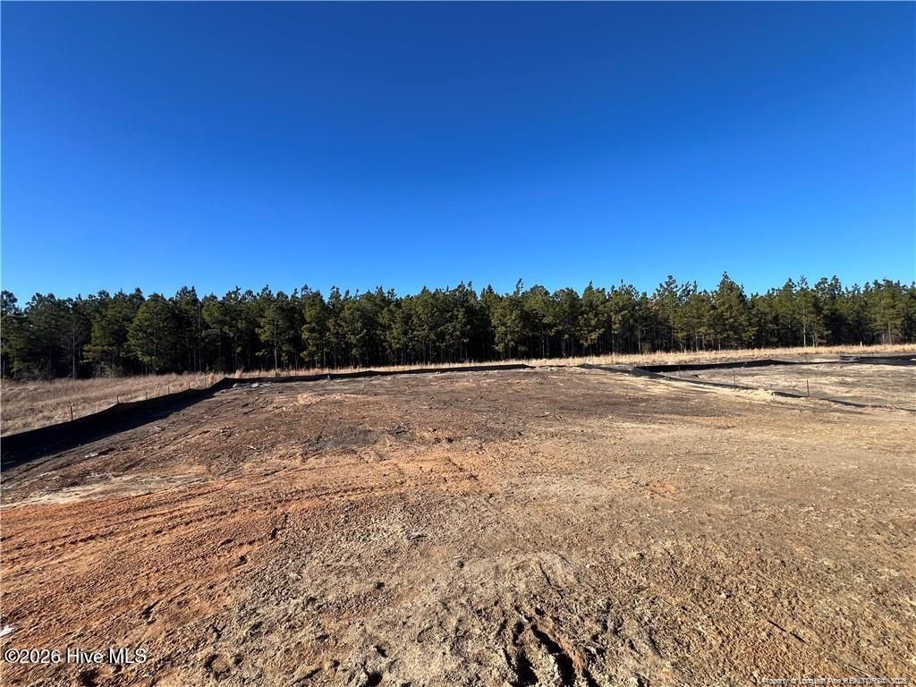 Photo of 232 Seaford Lane, Aberdeen, NC 28315 (MLS # 100559184)