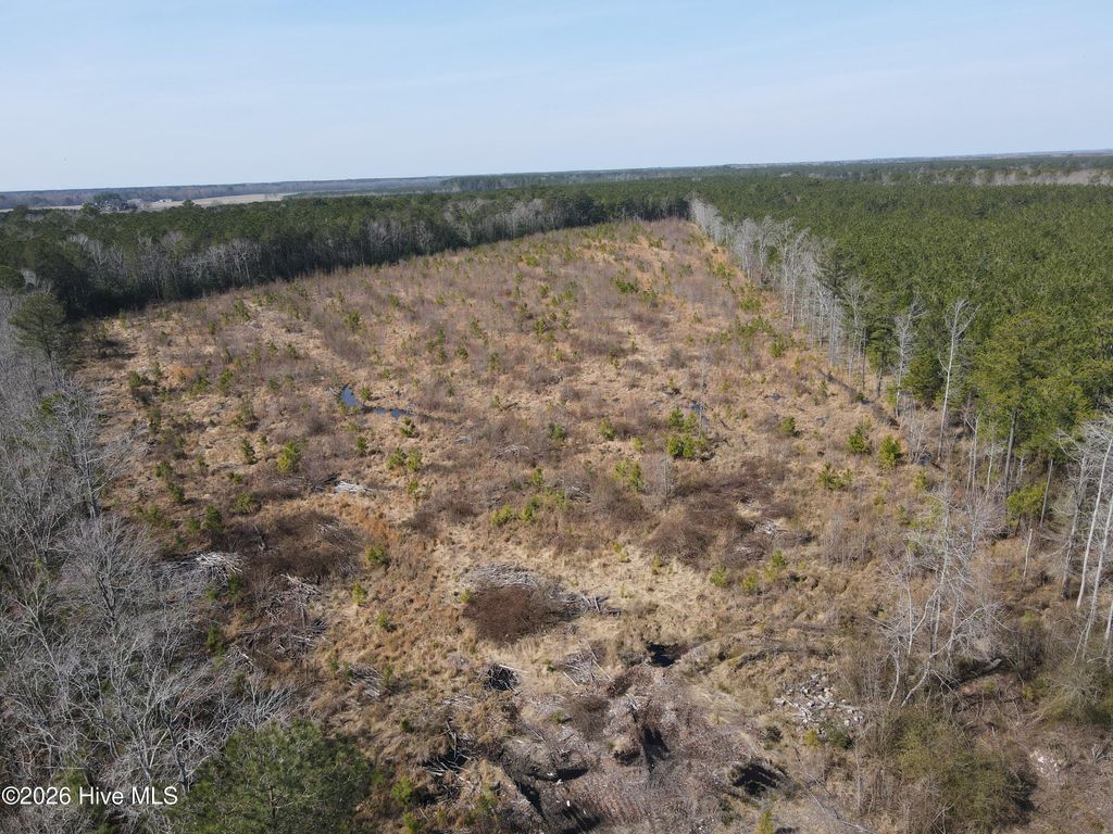 Photo of Tbd Old Lasker Road, Woodland, NC 27897 (MLS # 100557995)