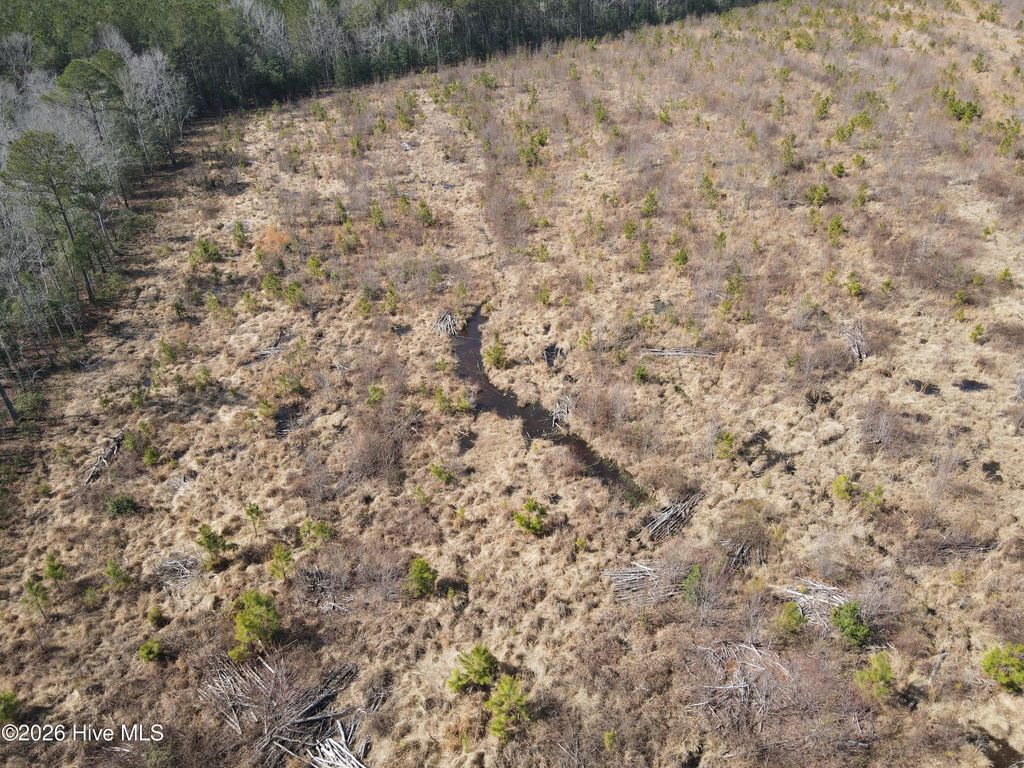 Photo of Tbd Old Lasker Road, Woodland, NC 27897 (MLS # 100557995)