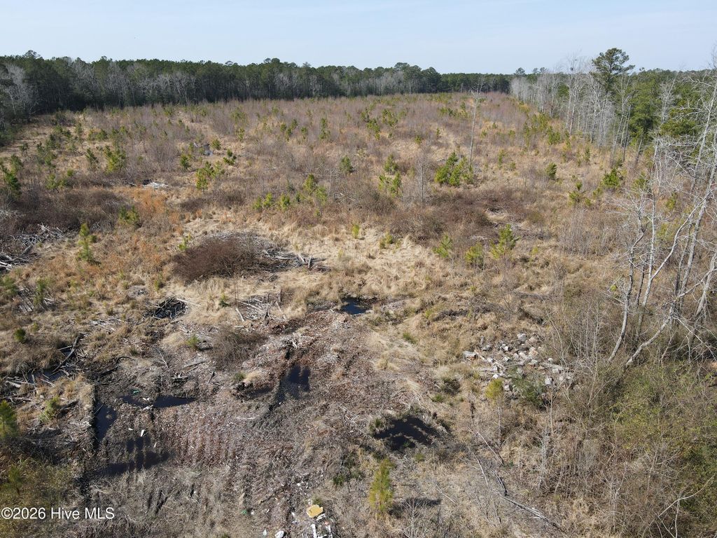 Photo of Tbd Old Lasker Road, Woodland, NC 27897 (MLS # 100557995)