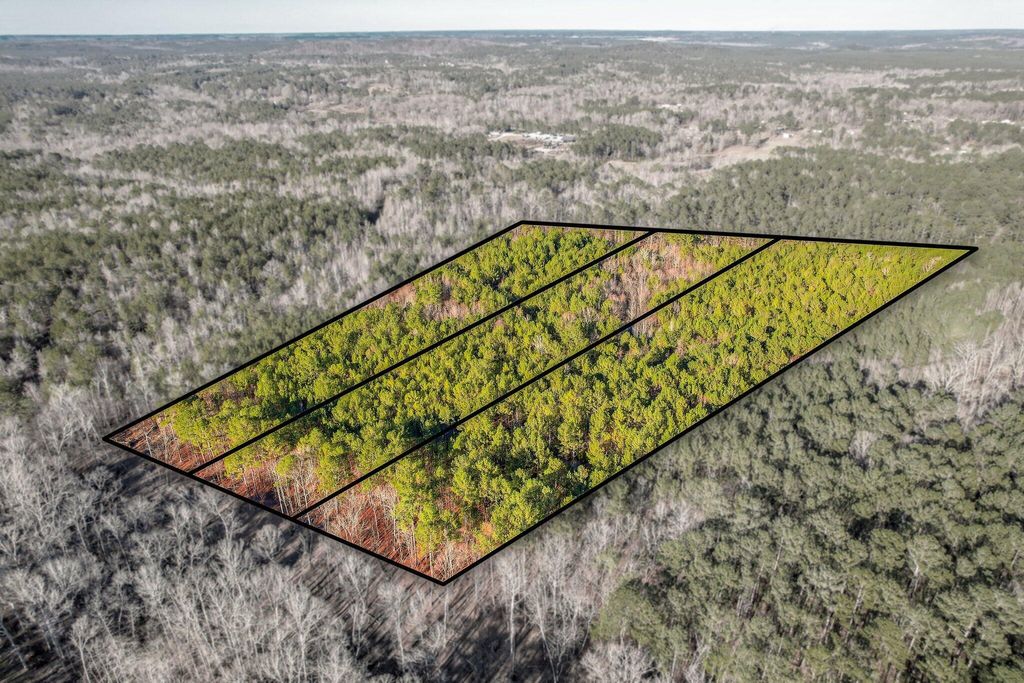 Photo of 5483 Tubman Road, Appling, GA 30802 (MLS # 552067)