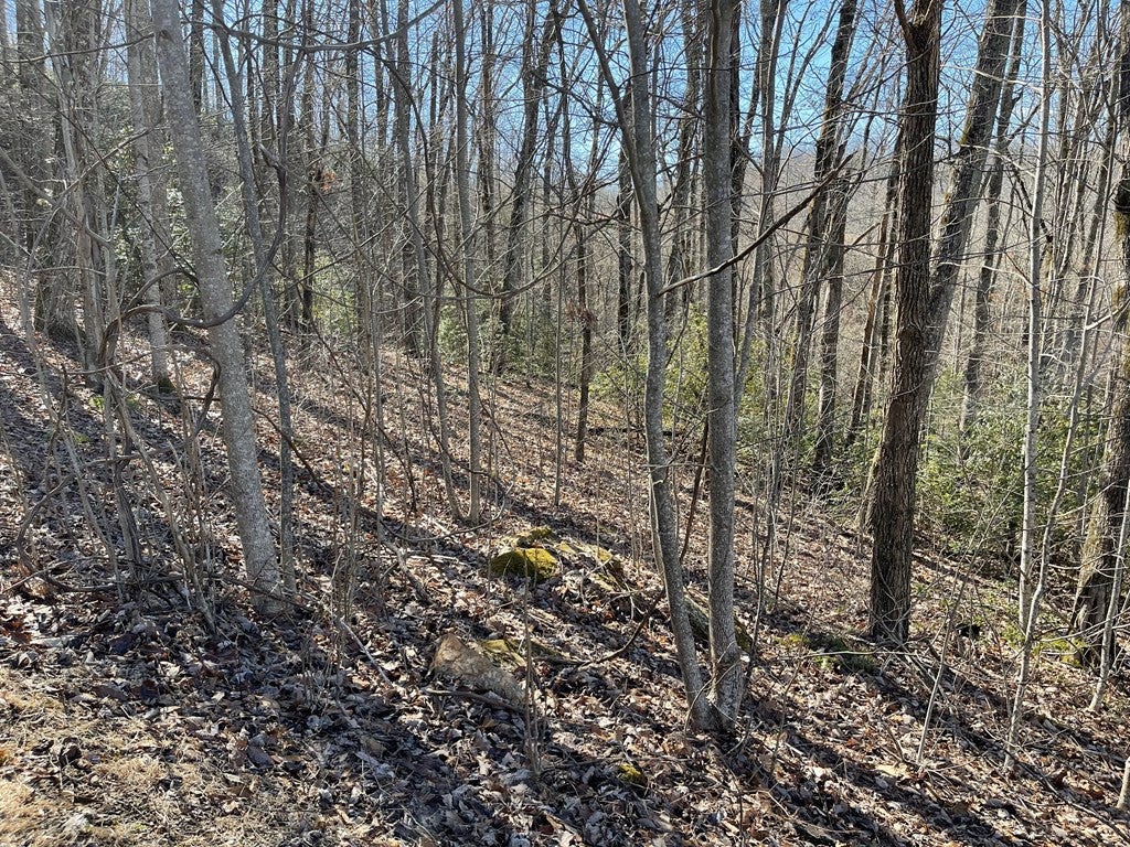 Lot 34j 34J Ash Branch Road - Photo 2