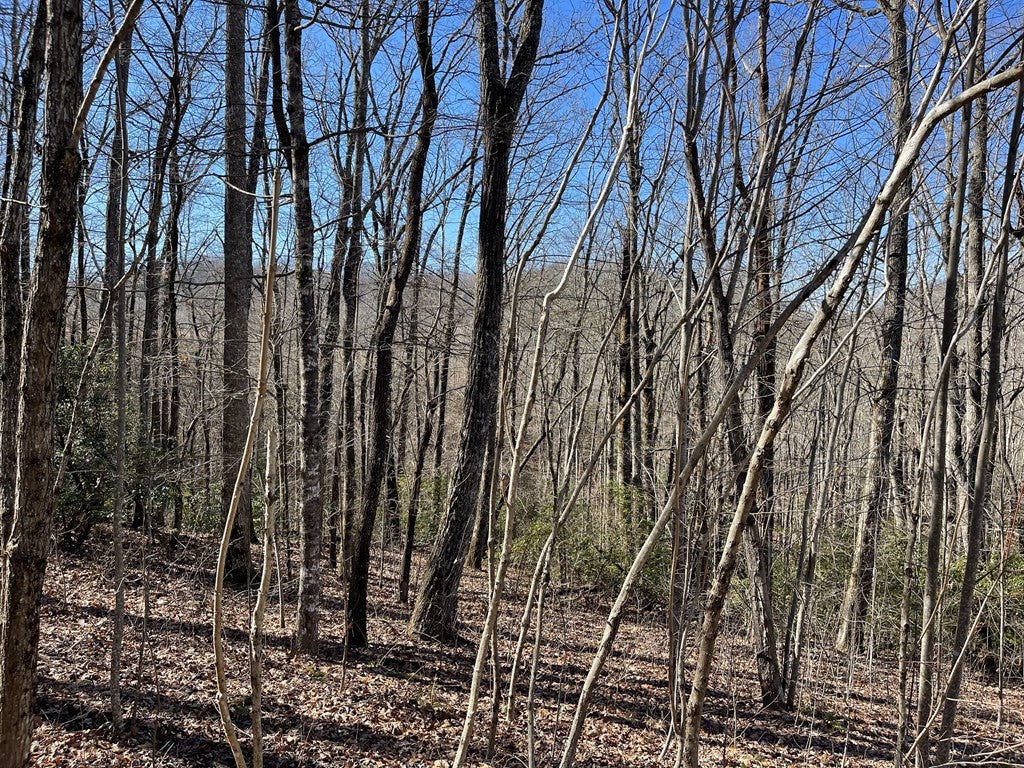 Lot 34j 34J Ash Branch Road - Photo 4