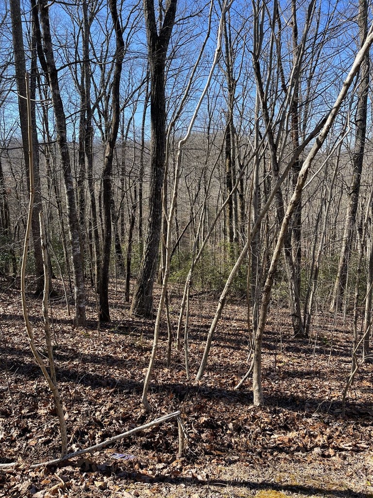 Lot 34j 34J Ash Branch Road - Photo 3