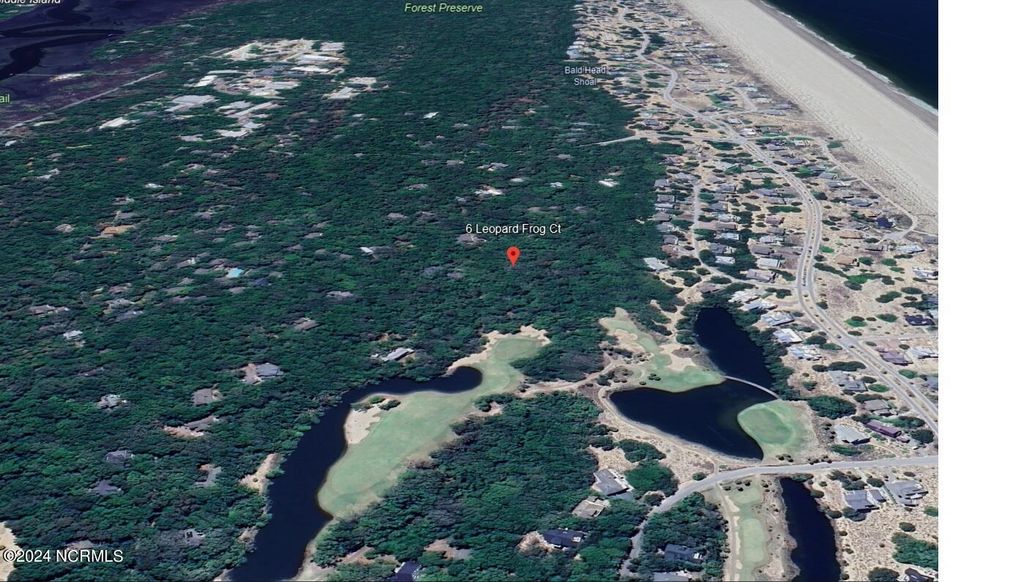 Photo of 6 Leopard Frog Court, Bald Head Island, NC 28461 (MLS # 100464013)