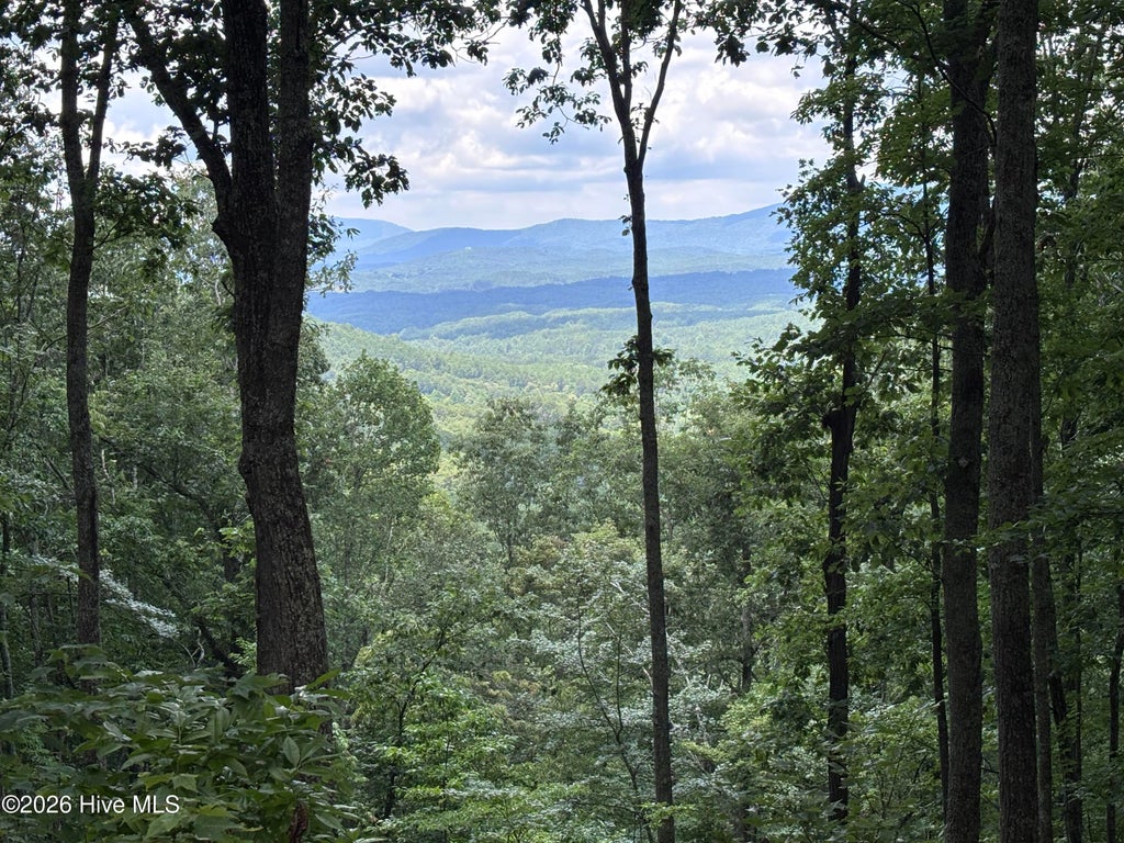 Photo of 169 Wilderness Creek Way, Murphy, NC 28906 (MLS # 100590013)