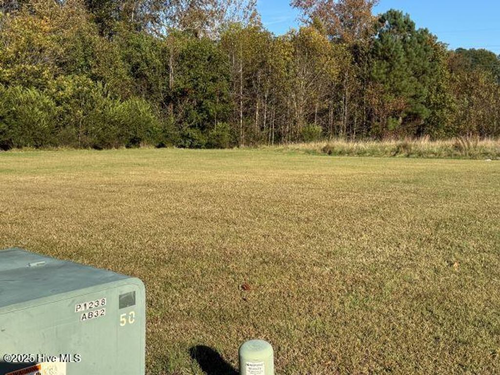 Photo of 113 Pinewood Drive, Ahoskie, NC 27910 (MLS # 100540314)